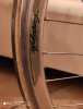 121473202_817845498965015_3334509031077210107_n.jpg