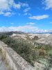IMG_20201017_114911.jpg