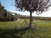 IMG-20201017-WA0019.jpg