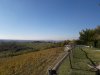 IMG-20201017-WA0005.jpg