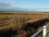 20201017_174333.jpg