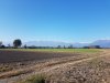 20201017_103632.jpg