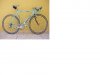 bianchi.jpg