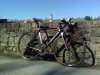 opal orbea 1.jpg