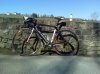 opal orbea 5.jpg
