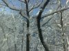 06032010345.jpg