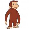 1603272275801.png