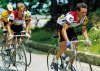 hinault-lemond.jpg hinault-lemond.jpg