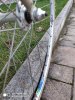 IMG_20201022_180234.jpg