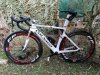 IMG_20201024_144154.jpg