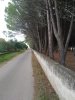 IMG_20201025_093425.jpg