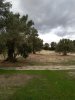 IMG_20201025_091613.jpg