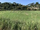 IMG_0645.JPEG IMG_0645.JPEG