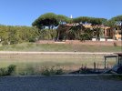 IMG_0650.JPEG IMG_0650.JPEG
