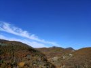 IMG20201028120306.jpg