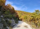 IMG20201028145858.jpg