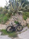 IMG_20201024_080848.jpg