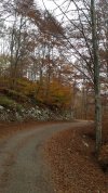 20201101_120900.jpg