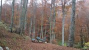 20201101_121136.jpg