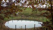 20201101_123007.jpg 20201101_123007.jpg