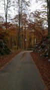 20201101_140210.jpg