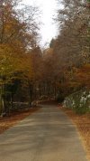 20201101_115739.jpg