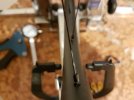 20201104_065505.jpg