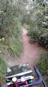 IMG_20201104_081050.jpg
