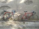IMG_20201105_104657.jpg