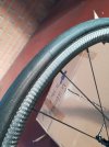IMG_20201105_151706.jpg