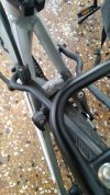 IMG_20201106_120134.jpg