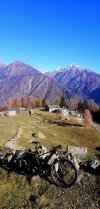 IMG_20201107_152953.jpg