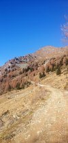 IMG_20201107_153108.jpg