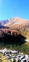 IMG_20201107_153323.jpg