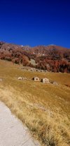 IMG_20201107_153430.jpg