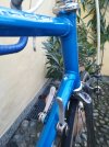 IMG_20201107_164316.jpg