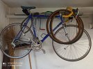 IMG-20201107-WA0014.jpg