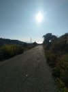 IMG_20201108_082022.jpg