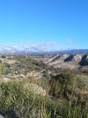IMG_20201108_080549.jpg