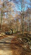 20201108_124215.jpg