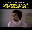 verdone.JPG