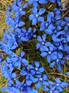 IMG-20201109-WA0088.jpg