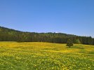 IMG-20201109-WA0098.jpg