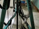 bianchi intenso.jpg