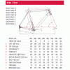 Focus Izalco team pro geometry.gif