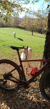 IMG_20201113_103031.jpg