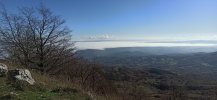IMG_20201113_102143.jpg