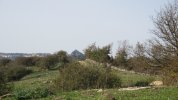 IMG_5312.JPG IMG_5312.JPG