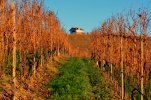 DSC_5410.JPG DSC_5410.JPG
