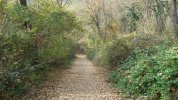 20201115_120846.jpg
